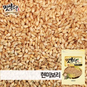 맛봉달 2024년 현미보리 보리현미 봄보리 쌀보리 국내산