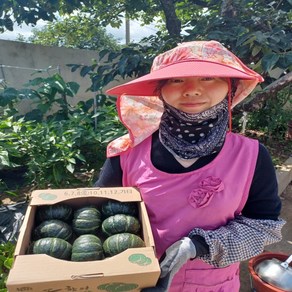 제주 밤호박 단호박 밤호박 보우짱 해남 밤호박 1.5kg 3kg 5kg 10kg 20kg