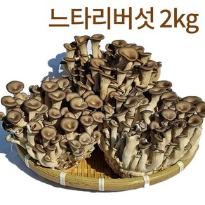 국내산 무농약 친환경 느타리버섯 2kg (200gx10팩), 1세트, 2.4kg (200gx12봉지)