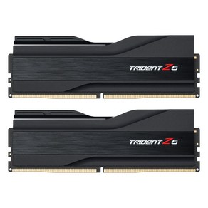 G.SKILL DDR5-6000 CL36 TRIDENT Z5 J 블랙 패키지 (32GB(16Gx2)), 선택없음, 2개