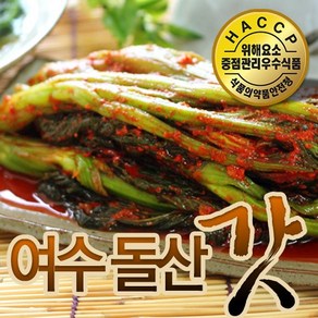 [산지직송] 여수 돌산 갓김치 1kg / 40년 전통의 명인 어머니 손맛!!, 1개