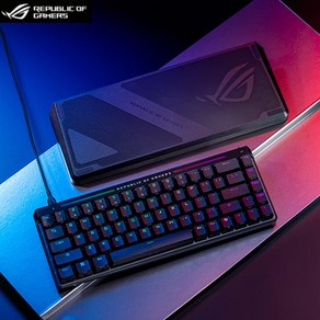 [성의] ROG ACE HFX 유선 8K 마그네틱축 게이밍 키보드 마도사시리즈 RT지원 65%배열 RGB 가스켓 구조 래피드 트리거 키보드, Ace HFX 키보드(블랙), NO-추가안함