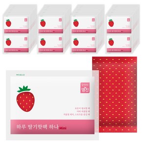 홈에디션명진 하루 마이핫 딸기핫팩 25g, 80개