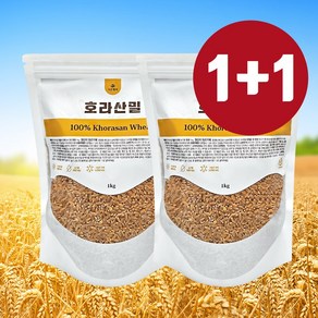 최근생산 햇 호라산밀 정품 카뮤트 통곡물, 1개, 2kg