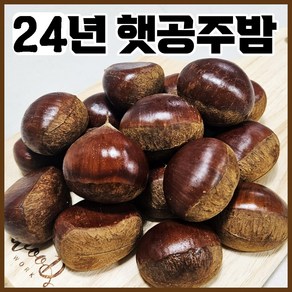 24년 약단밤+생율밤 혼합 1kg+1kg 칼집밤, 2kg, 1개, 24년산 햇공주밤 1kg + 1kg(칼집밤)