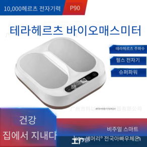 테라헤르츠 테라 테라P90, P90 220v, 1개