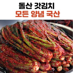 전라도 김치 갓김치 돌산갓김치 1kg 2kg 3kg, 돌산갓김치_1kg, 1개