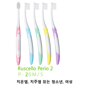 GC 루셀로 치은염 치주병 청소년 여성용 Ruscello P-20M P-20S, P-20S 5개, 5개