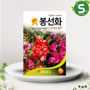 솔림텃밭몰 봉선화씨앗 봉숭아씨앗 100립 꽃씨앗 꽃씨