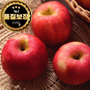 [꿀맛보장] 경북 산지직송 당도높은 부사사과, 1박스, 소과 10kg