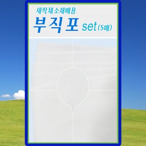 다농 새싹채소 재배용 부직포 5매 새싹키우기, 1세트