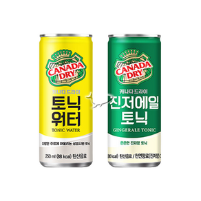 캐나다드라이 토닉워터 5캔+진저에일 5캔 총10캔, 250ml, 1세트