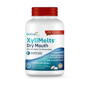 OaCoat 자일리멜츠 XyliMelts 자일리톨 함유 100개입, 1개