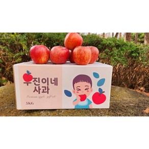 우진이네 사과 경북 청송 가정용 꿀사과 못난이사과 ( 소과 혼합), 1박스, 5KG(소과)