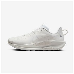 국내매장판 - 나이키 운동화 페가수스 트레일 5 남성 NIKE 런닝화 DV3864-101