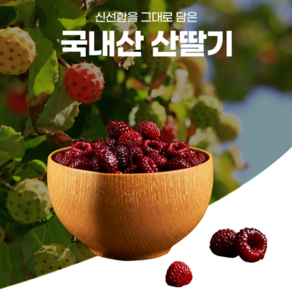 [산딸기는 따자마자]경북 청도 산딸기, 4박스, 250g 내외