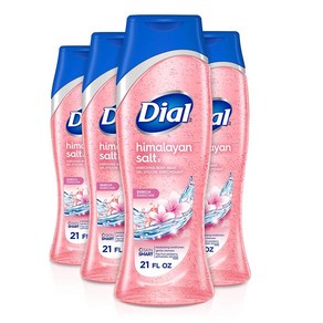 Dial 다이알 바디워시 히말라야 솔트 21oz(621ml) 4팩, 1개, 621ml