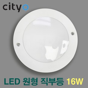 LED 원형 직부등 16W 6인치 주광색(하얀빛) 베란다등 다용도실등 복도등 현관등, 1개