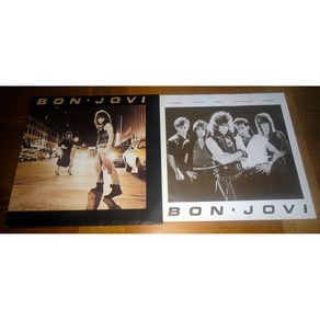 LP 판 카페 히트곡 유명 레코드 Vinyl 바이닐 본조비, 1개