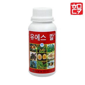 유에스칼 500ml + 호미닷컴 전용 약수저 세트 고추칼슘제, 1개