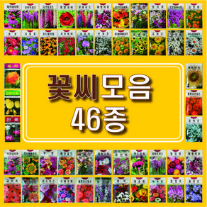 꽃씨 모음 46종