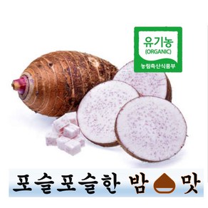 왕토란 1kg 유기농국산 타로 토란