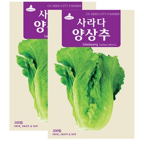 세인화분 사라다 양상추 200립 - 쌈채소 씨 씨앗, 2개