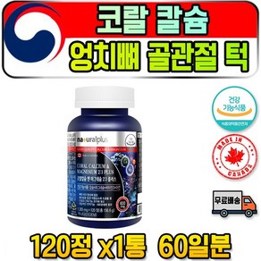 생 성인 갱년기 코랄 칼슘 마그네슘 함유 영양제 연골 목 40대 50대 팔꿈치 통증 뼈 중 장년 JOINT NAG optimsm 상어 연골 팔팔 운동 연화 식이 유황 어골 쌩쌩, 1개, 120정