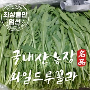 국내산 와일드루꼴라 베이비 루꼴라 특품 500g, 1개