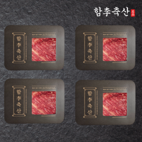 [당일발송] 부드럽고 고소한 1++등급 투뿔 프리미엄 한우 양지, 4개, 300g