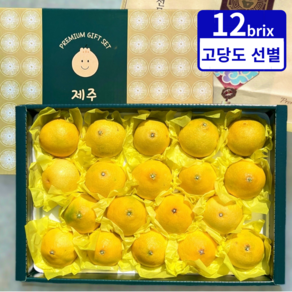 명품 제주 황금향 선물세트 특품, 1개, 2kg