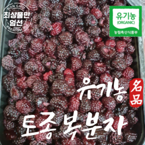 국산 유기농 복분자 토종복분자 생과 급냉1kg, 1개