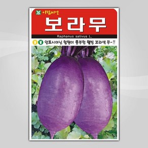 슬로시 김장채소 씨앗 종자 배추 무 갓 양파 시금치 알타리 당근 대파