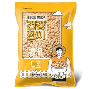 국산 백태 2kg 메주콩 노란콩 대두콩