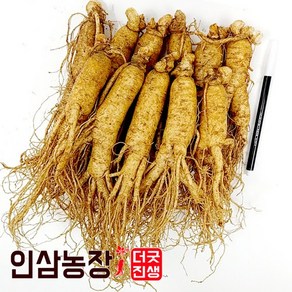 더굿진생 인삼 수삼 금산인삼 원수삼 난발삼 파삼 삼계 350g, 1개, (세척안함)알뜰형 600g(7~9뿌리)