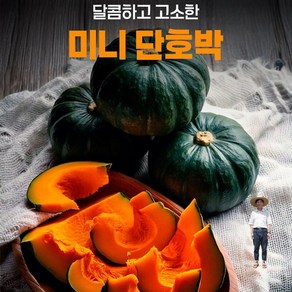 [청정 뉴질랜드에서 재배한 달콤한 보우짱 품종 단호박] 미니 단호박 이지만 자이언트 사이즈, 1박스, 3kg(4~6과)