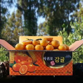 귤담원 제주 제철 감귤, 04.감귤 3kg 중대과(L/2L), 1박스