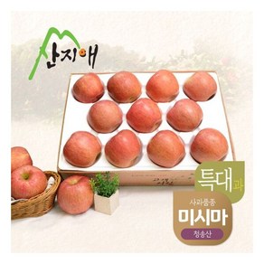 알뜰사과과 4kg, 1개