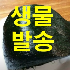 장흥본가 찰매생이 소포장 개당100g 기본포장개당 400g 3재기 5재기 10재기, 350g(5재기), 1개