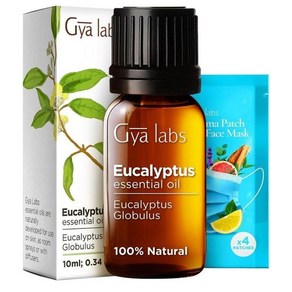 Gya Labs 에센셜오일 유칼립투스 Gya Labs Eucalyptus Essential Oil fo Diffuse - Natual, 1개, 10ml