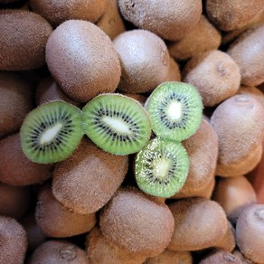 무농약 키위 소과 5kg(50~70g) [경흥농원]서귀포 직배송, 5kg(50~70g) 소과, 1개