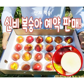 [6월9일 발송예약 구매고객만 할인] 고당도 신비복숭아 대과 이번에 놓치면 1년 기다려야해요!, 1박스, 신비 복숭아 대과 1kg 10과내외