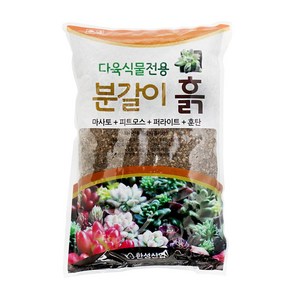 갑조네 다육이 전용 분갈이흙, 1.5kg, 3개