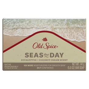 올드스파이스 남성용 바 비누 Seas The Day 유칼립투스 코코넛 크림 향 141.7g