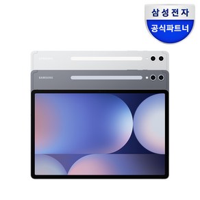 삼성전자 갤럭시탭 S10 플러스 256GB/512GB, Wi-Fi, 256GB, 문스톤 그레이