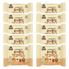 CJ 아이누리 요거퐁당 견과믹스 10g x 10개, 5개