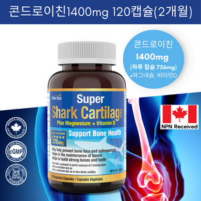 상어연골 콘드로이친 1400mg 120캡슐 콘드로이틴 저분자 어골 칼슘 마그네슘 비타민D 함유 허바 캐나다, 1개, 120정