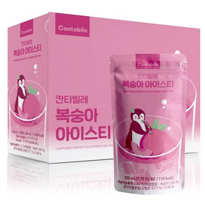 동서웰빙 탄산음료 칸타빌레 에이드 230ml 10포