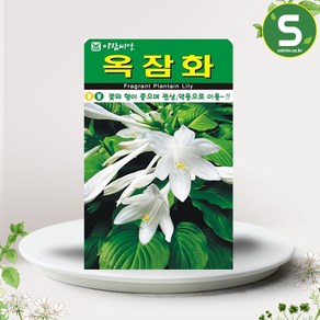 솔림텃밭몰 옥잠화씨앗 20립 옥잠화 꽃씨앗 꽃씨 야생화, 1개