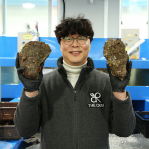 제철 굴 석화 5kg 10kg 통영 여수 각굴 석굴 삼배체굴 바위굴 벚굴 하프셀, 1개, 석화 5kg (구이용각굴/2.5인분)